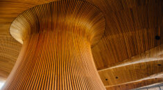 Senedd