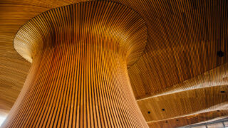 Senedd