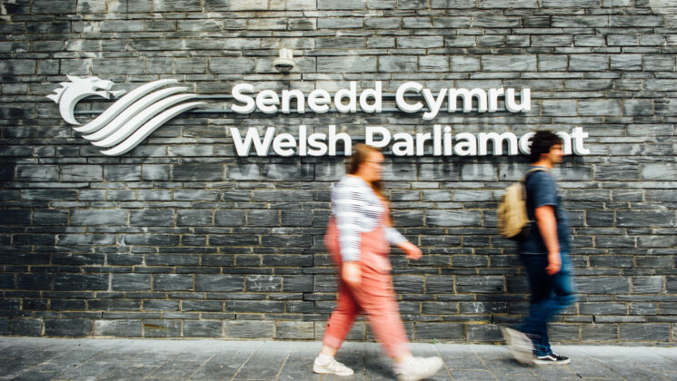 Senedd